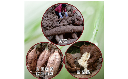 買葛粉是買野生的好？還是野生有機的好？